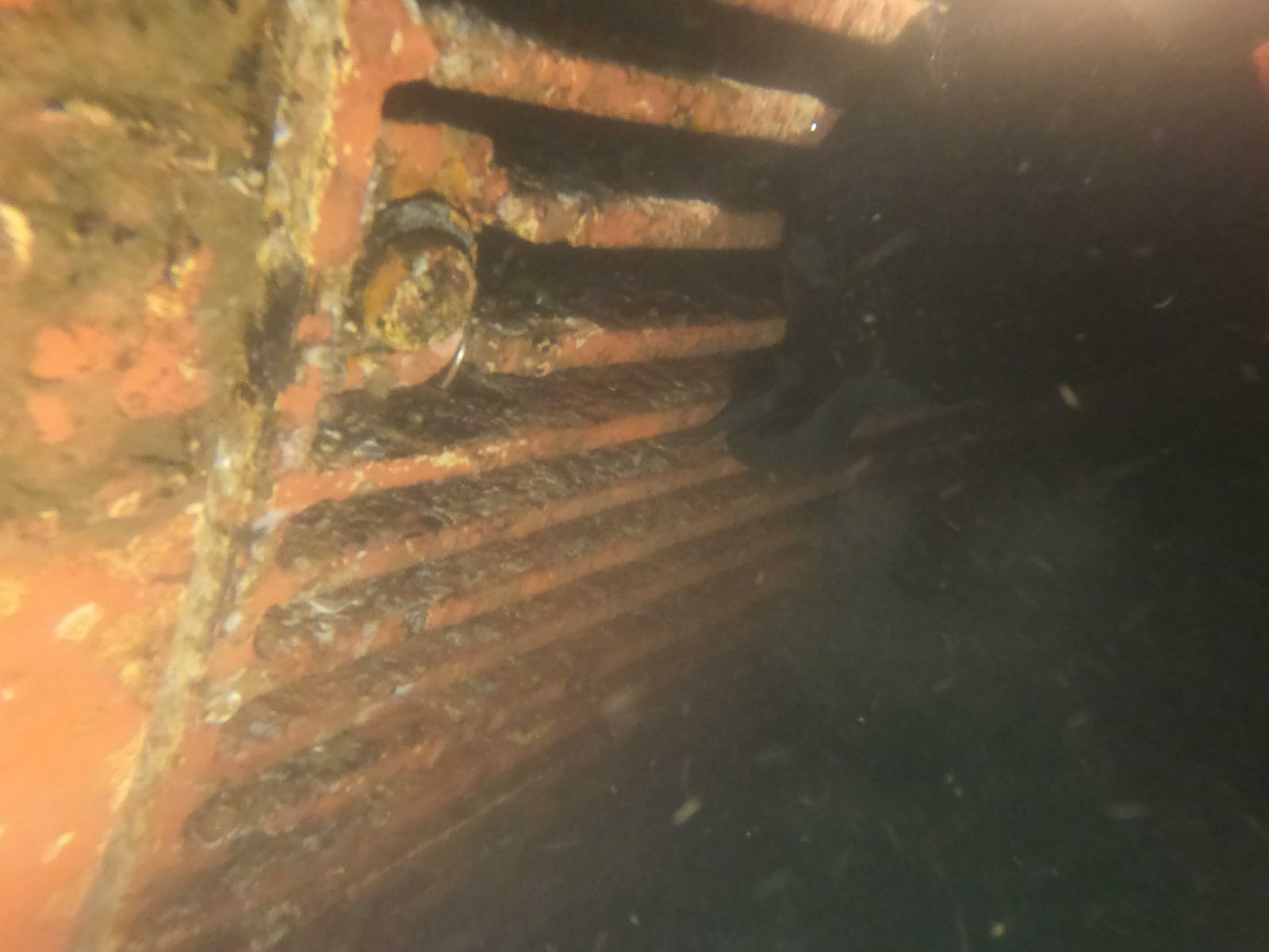 underwater inspection services in Vietnam.