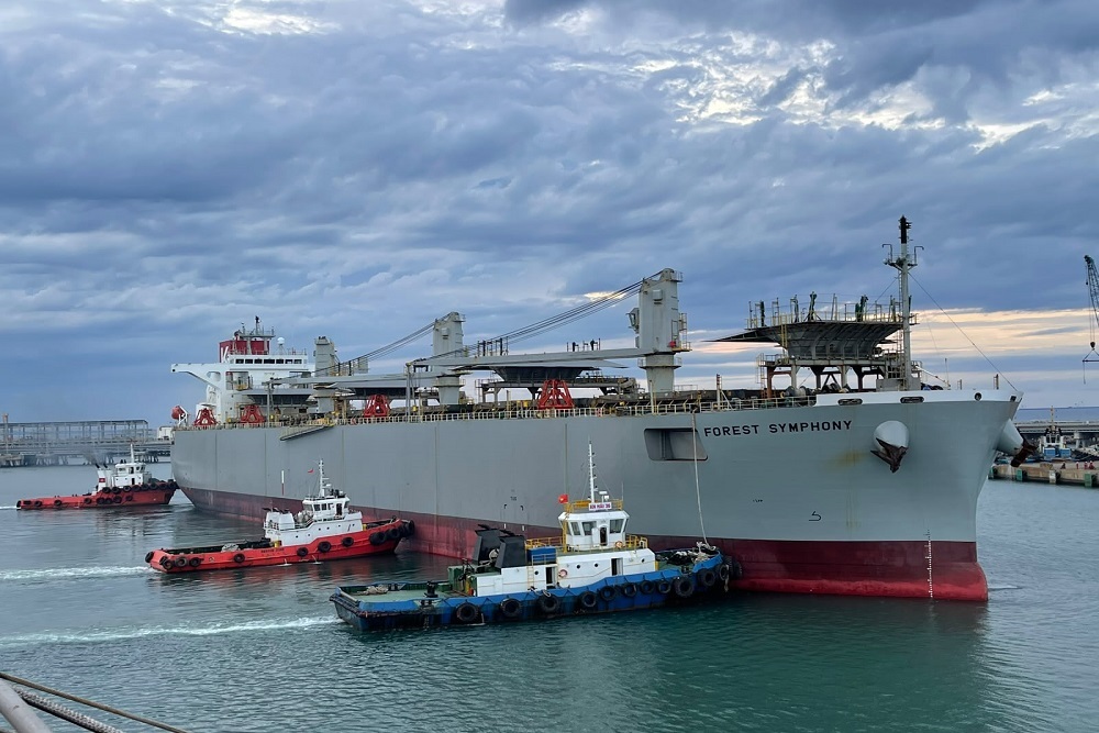 Foreign vessel calling at a port in Vietnam for marine services